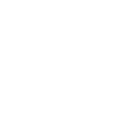 Houston Hot Chicken Sponsor Logo