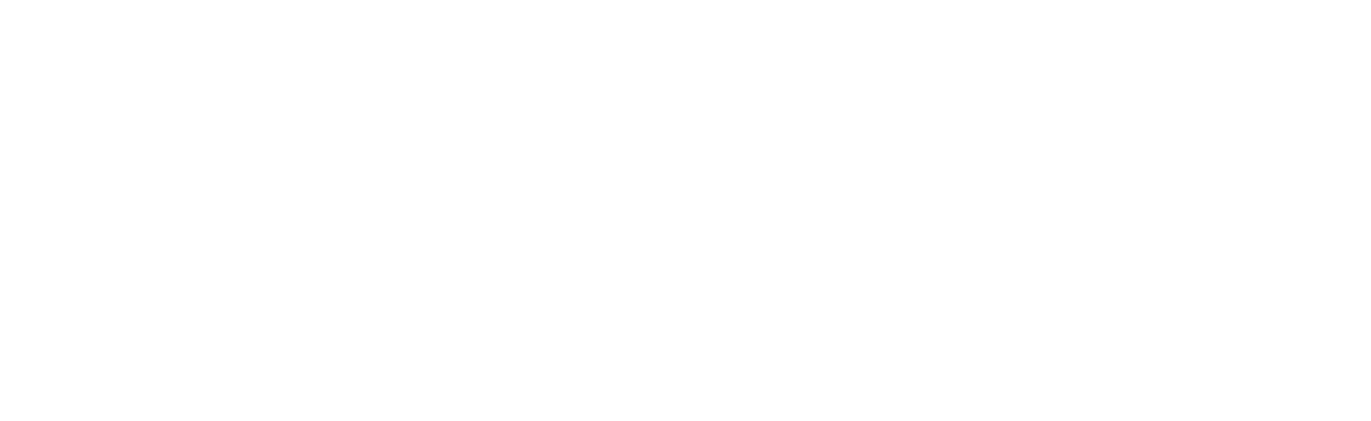 Sibe Sponsor Logo